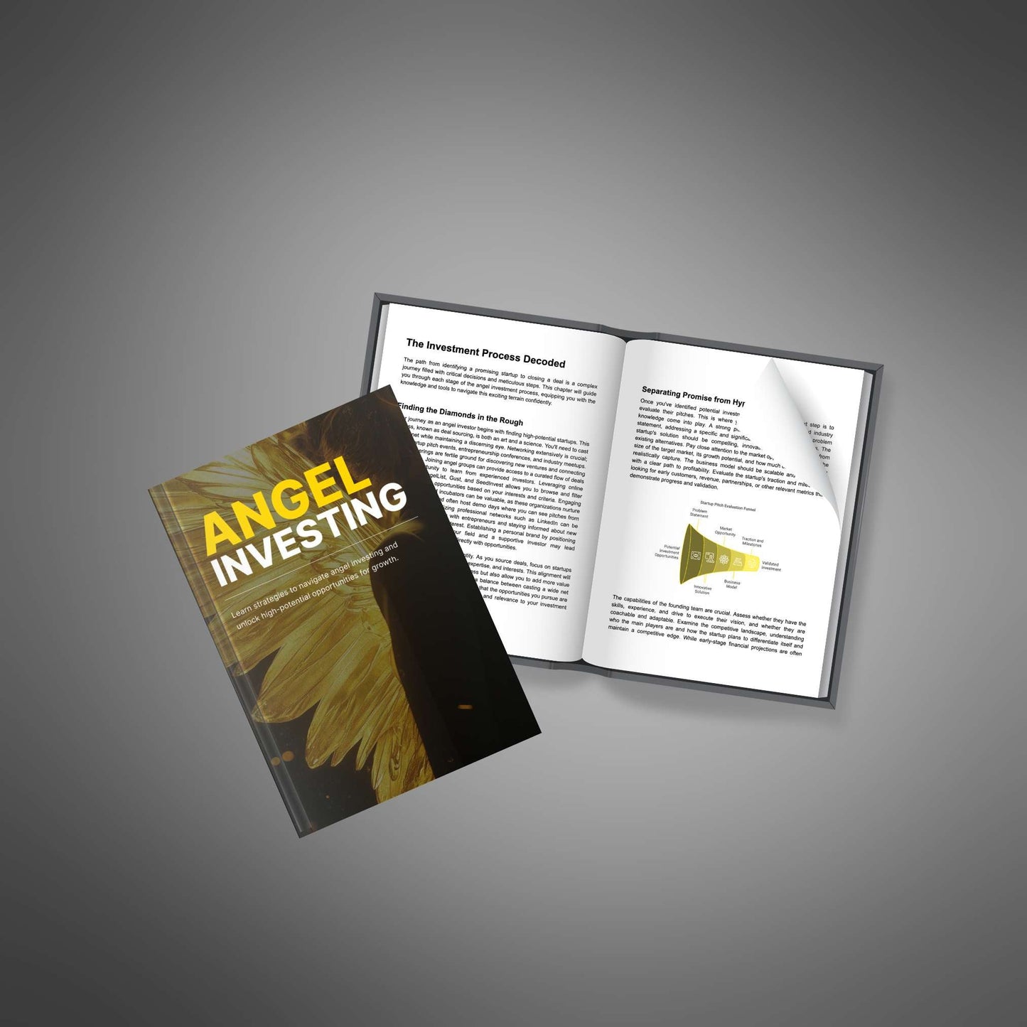 Angel Investing - Ebook