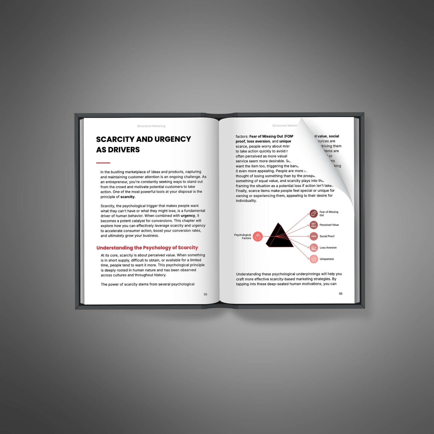 Behavioral Marketing Ebook