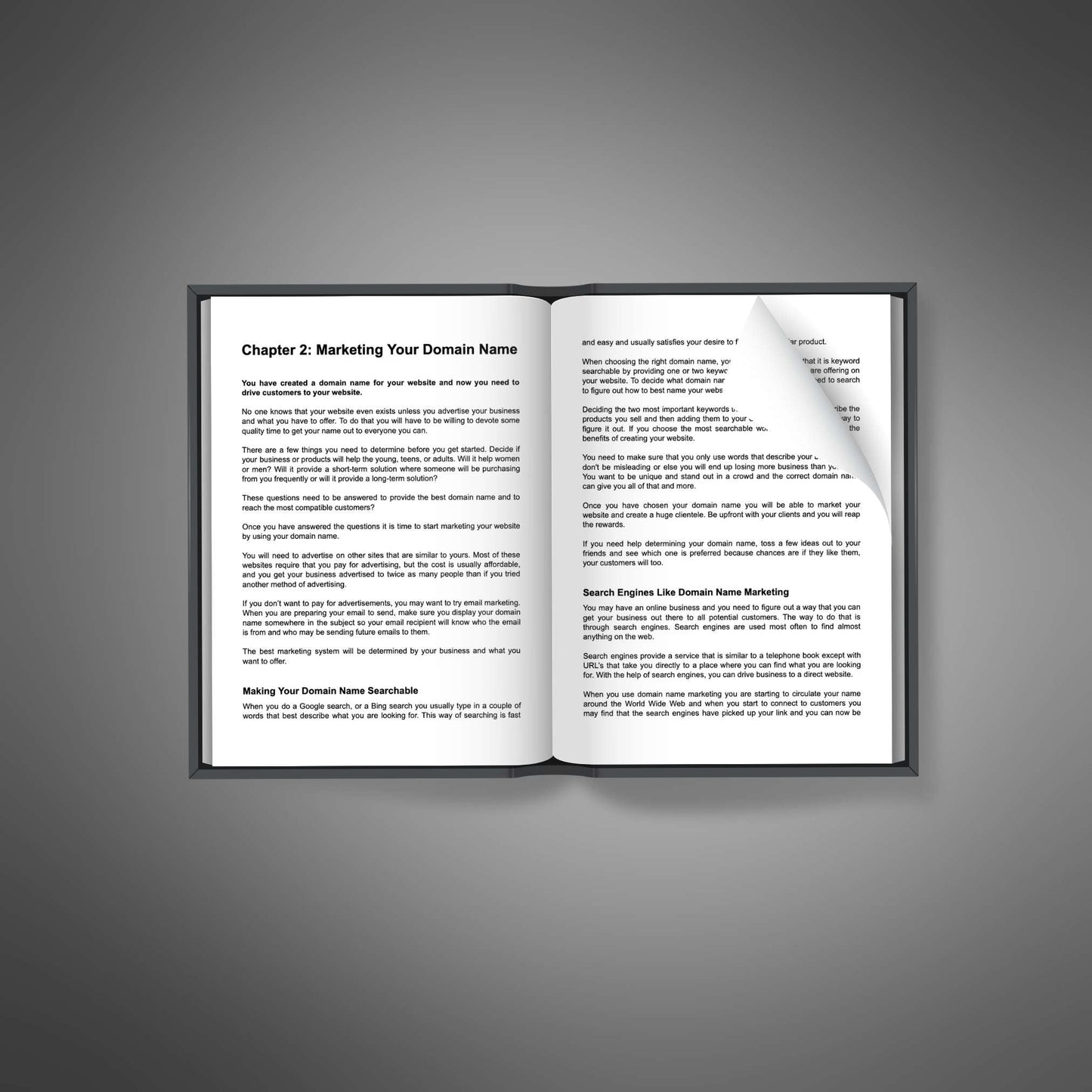 Domain Name Marketing